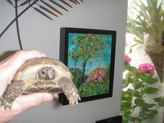 Do You Need a Professional Photo for a Pet Portrait?