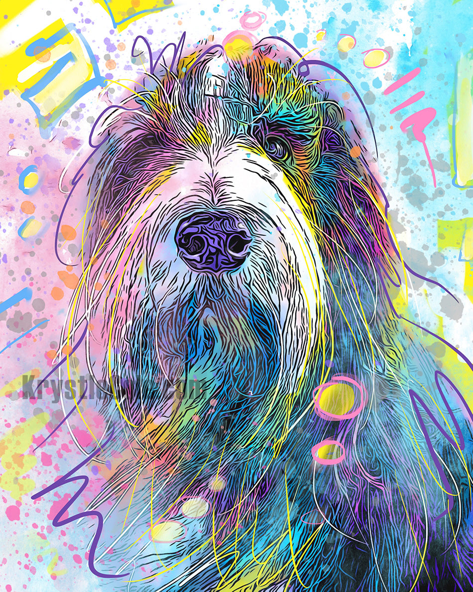 Bearded Collie Art Print