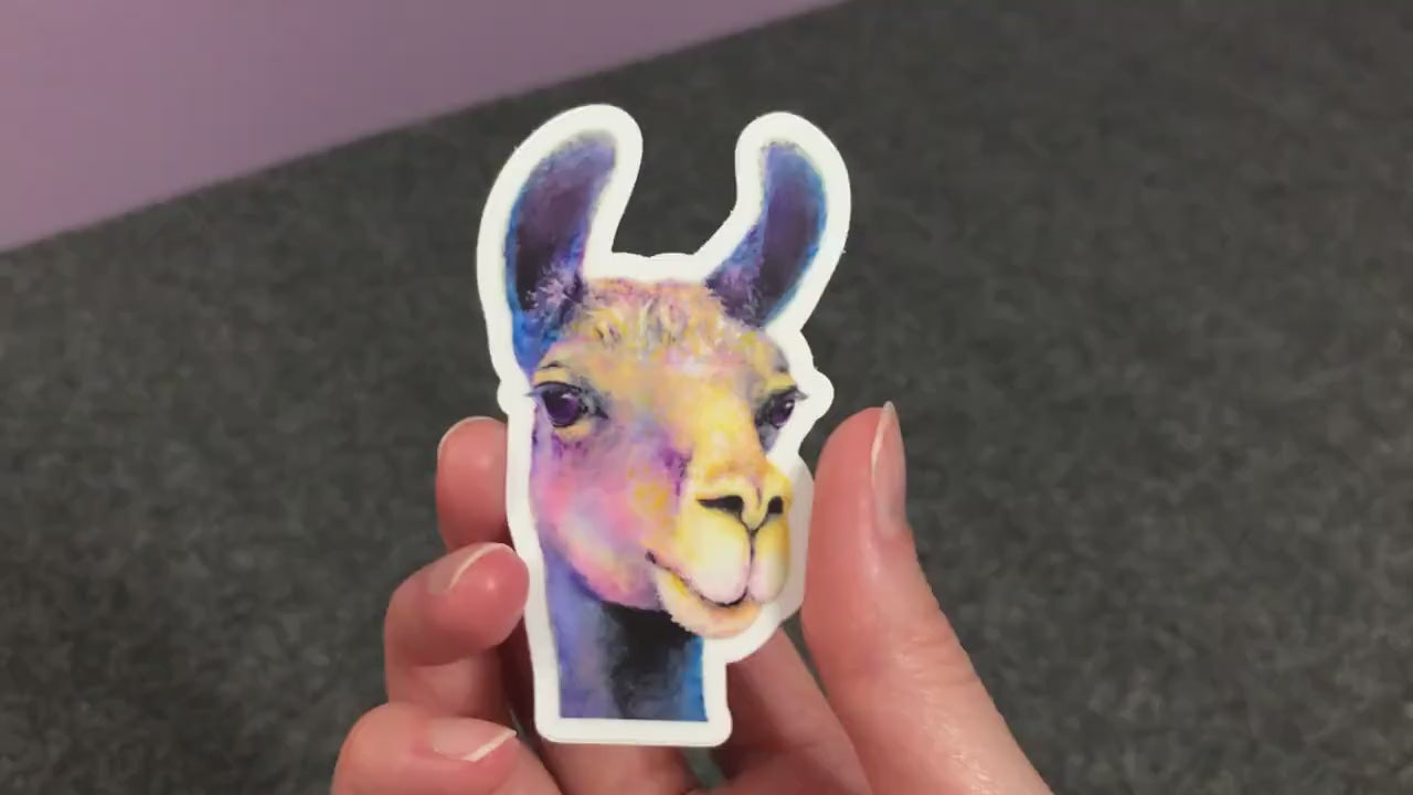 Llama Sticker - Weatherproof Vinyl Sticker for Use Indoor or Outdoor!
