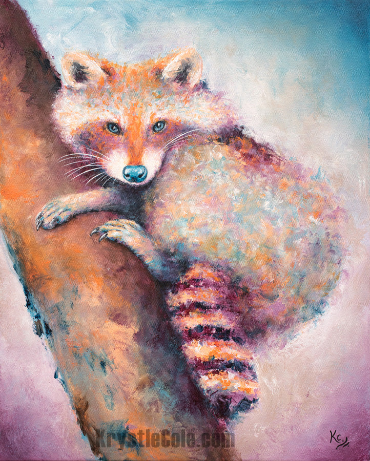 Raccoon Art Print