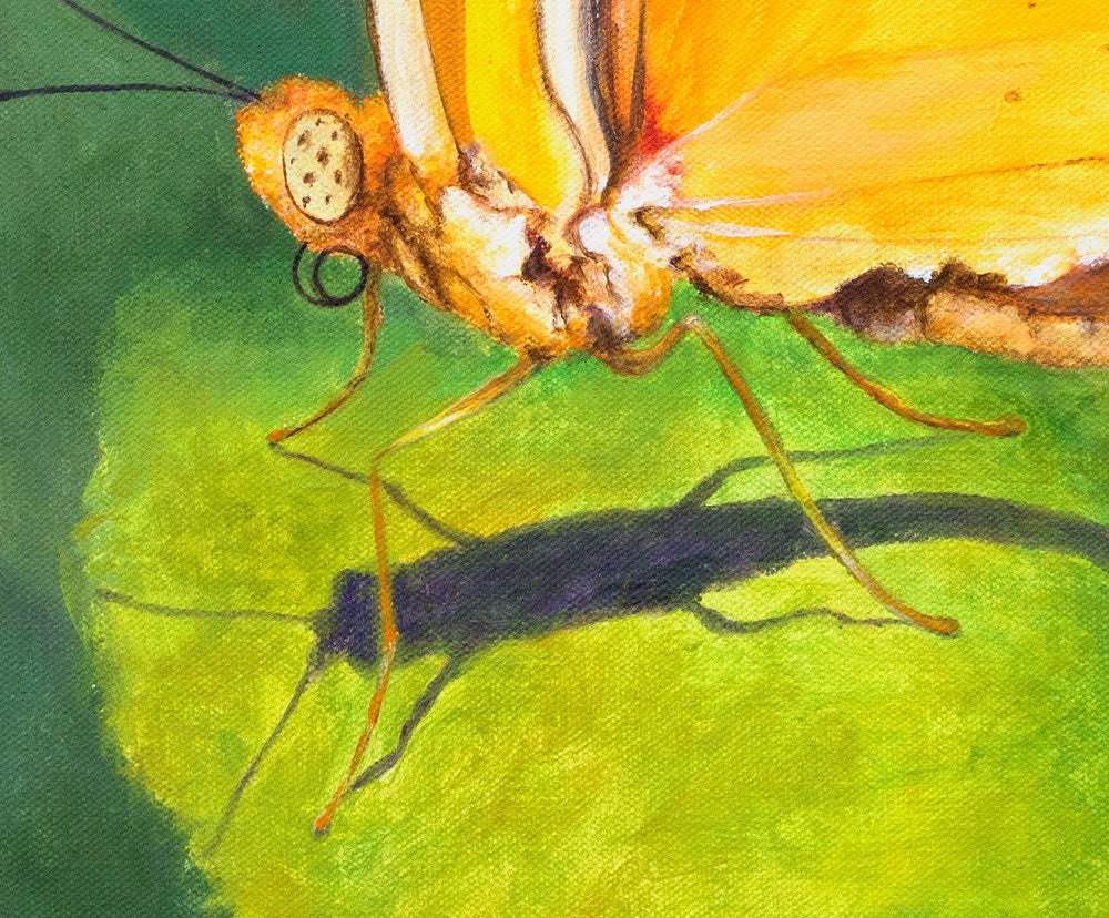 Yellow Butterfly Print