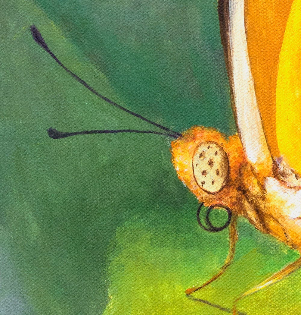 Yellow Butterfly Print