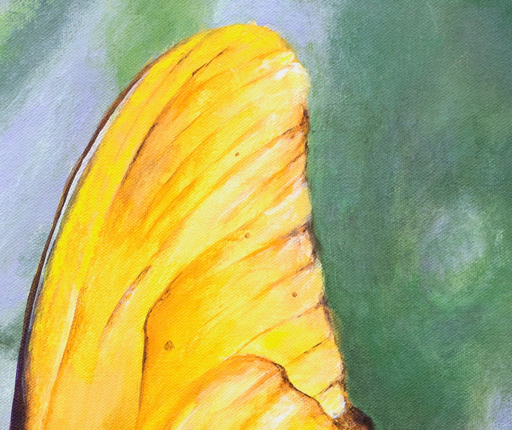 Yellow Butterfly Print