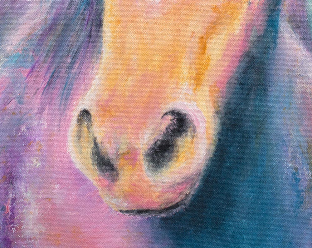 Horse Art - Horse Painting. Horse Wall Decor. Horse Lover Gift. Print on CANVAS or PAPER by Krystle Cole