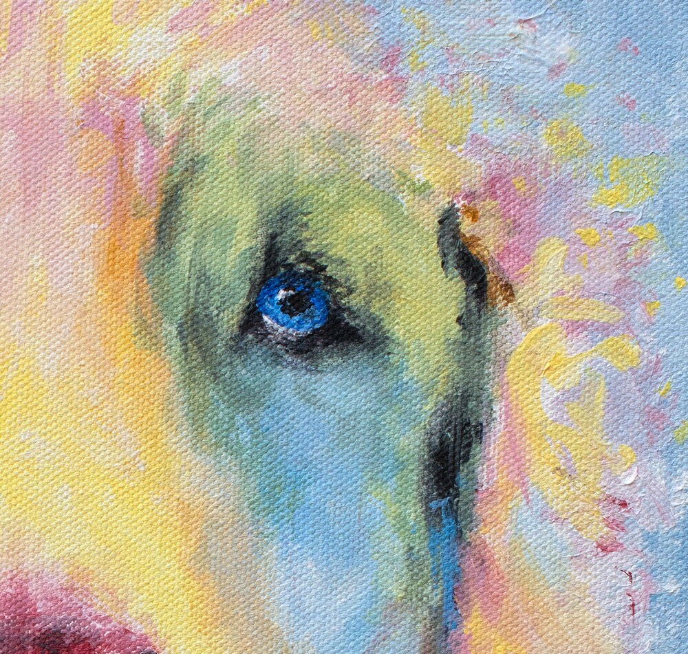 Golden Retriever Print - Billy