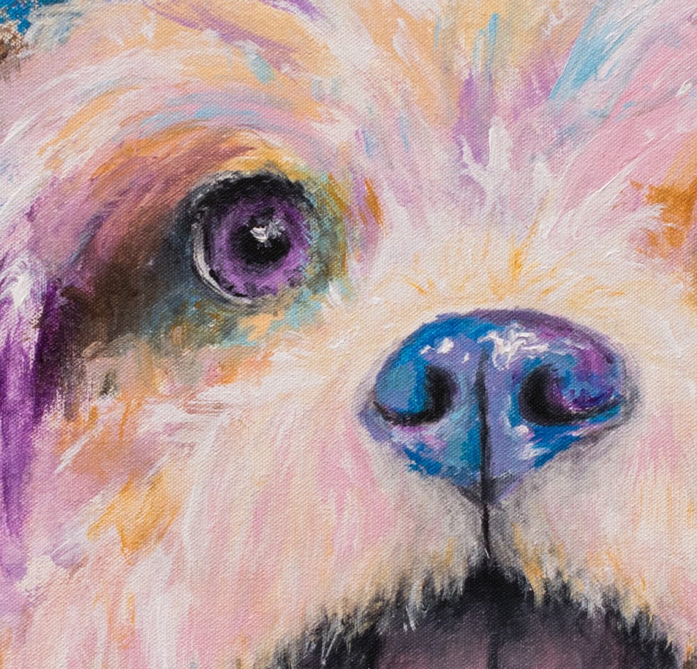 Shih Tzu Painting - 24x24"