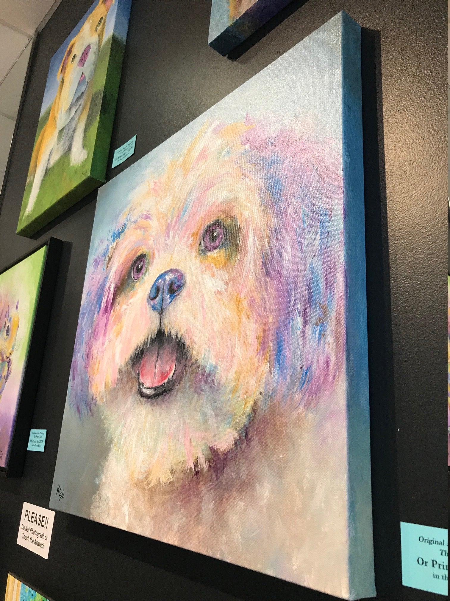 Shih Tzu Painting - 24x24"