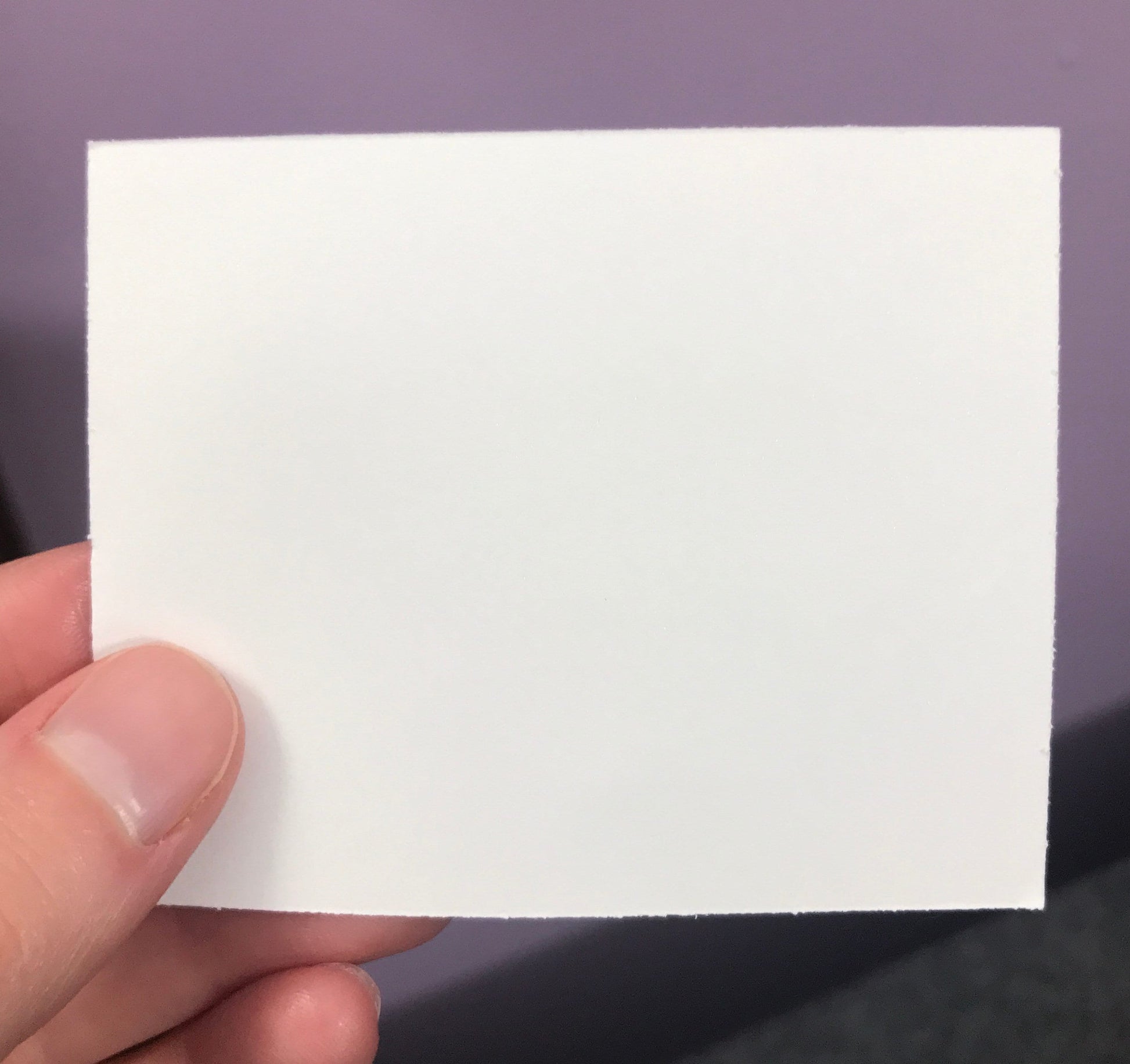 Hedgehog Sticker - Weatherproof Vinyl Sticker for Use Indoor or Outdoor!