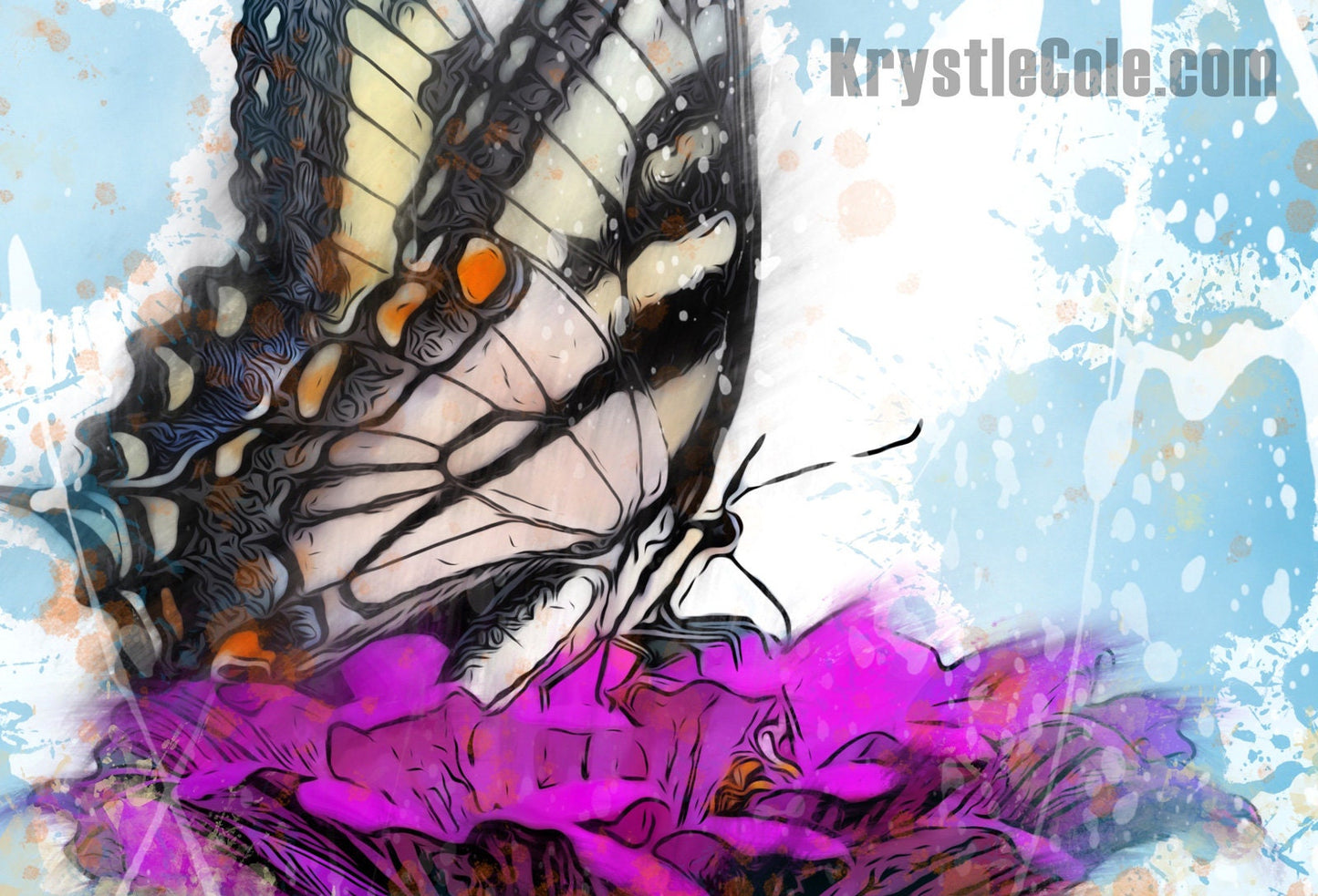 Butterfly on a Flower Print