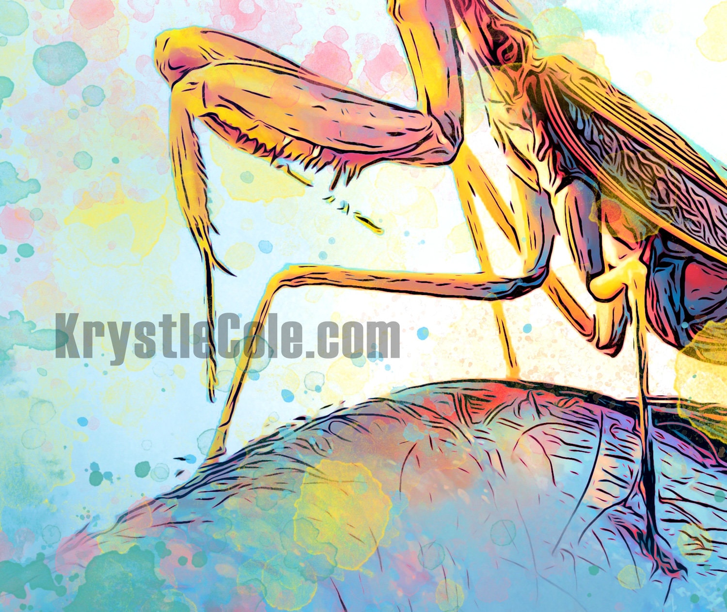 Praying Mantis Art Print - Original Artwork by Krystle Cole *Each Print Hand Signed*