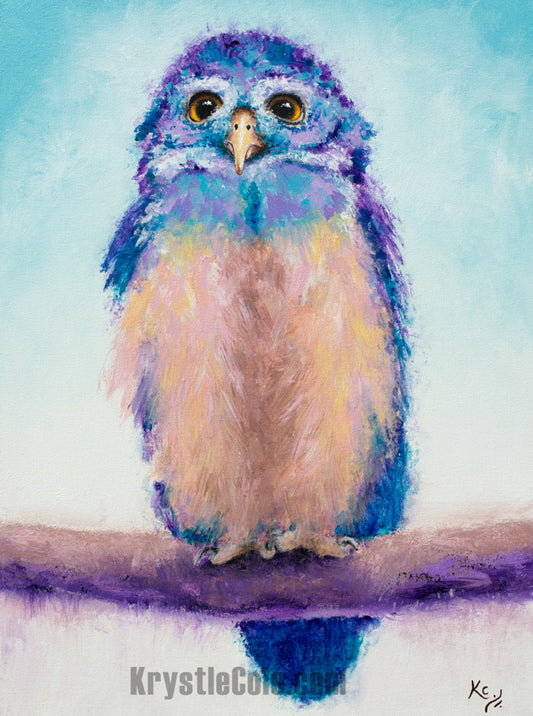 Owl Art Print - Spectacled Owl from Tulsa Zoo