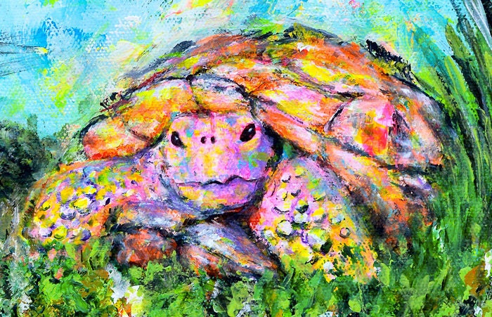 Turtle Art Print on PAPER or CANVAS - Colorful Tortoise Painting by Krystle Cole