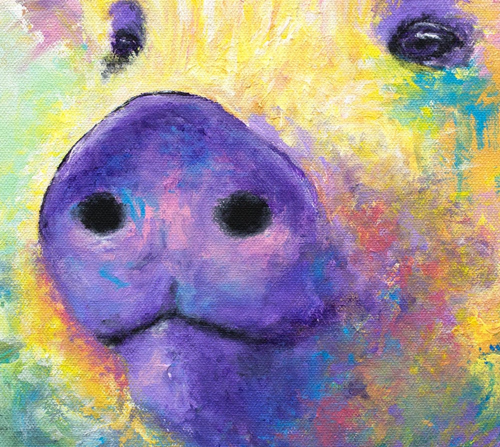 Pig Art on CANVAS or PAPER - Farm Animal Print. Pig Gifts for Women. Colorful Pig Painting by Krystle Cole