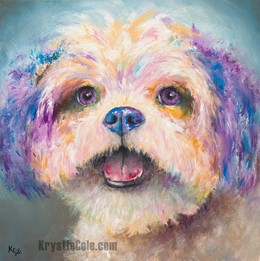 Shih Tzu Art on PAPER or CANVAS - Shih Tzu Gifts. Shitzu Print of Painting by Krystle Cole