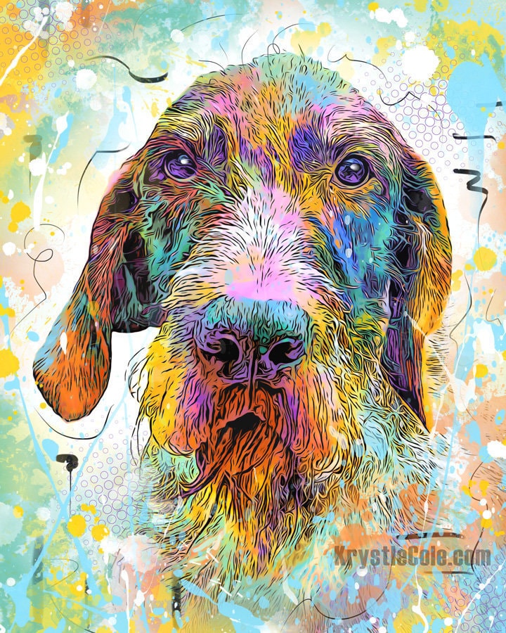 German Wirehaired Pointer Art Print - Wire Haired Pointer Wall Decor. Wire-haired Pointer. Wire Hair Pointer Artwork on CANVAS or PAPER