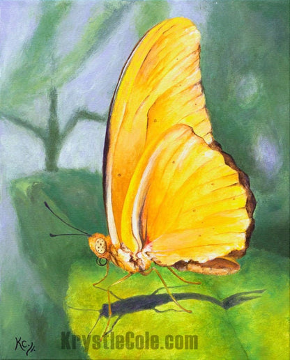 Yellow Butterfly Print