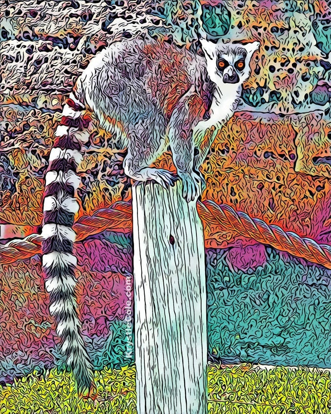 Tanganyika Lemur Print