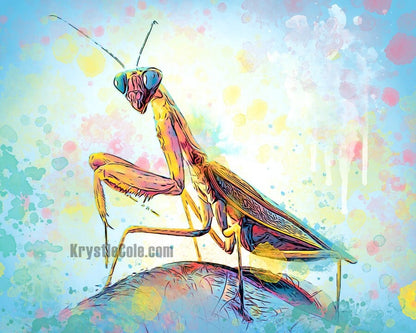 Praying Mantis Art Print - Original Artwork by Krystle Cole *Each Print Hand Signed*